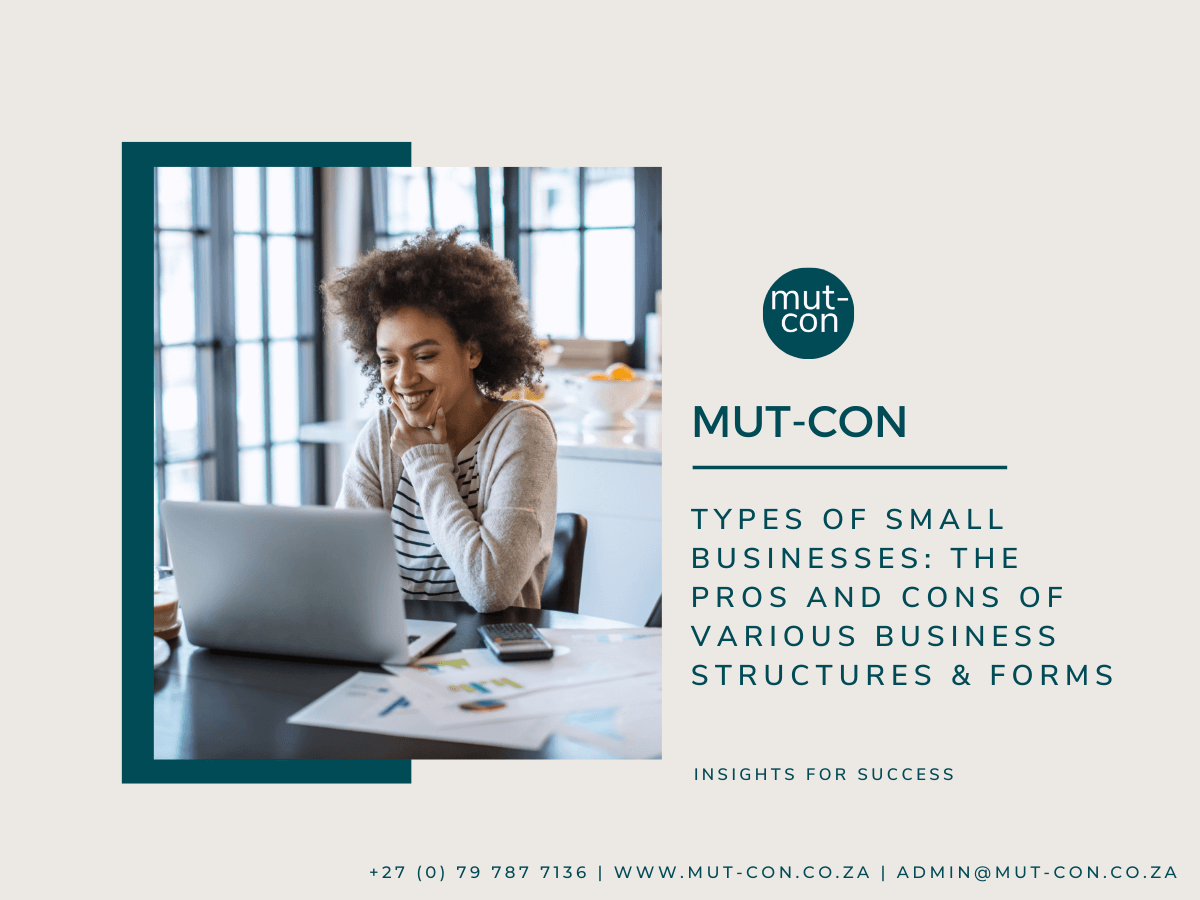 Types of Small Businesses: The Pros and Cons of Various Business Structures & Forms